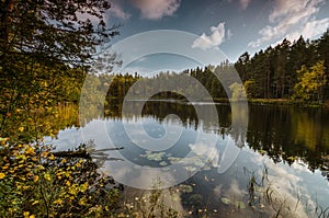 Lilla IdgÃÂ¶len lake in Norra Kvill National Park, Sweden photo