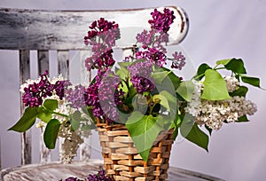 Lillac bouquet in vase