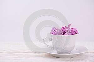 Lillac in cup on lilac background