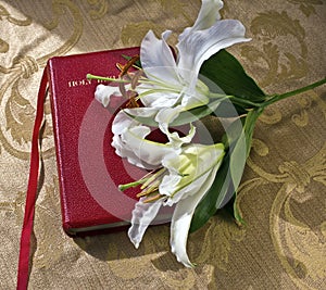 Lillies on a red Bible on gold