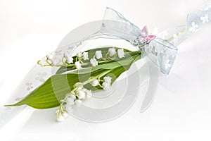 Lillies with romantic bow