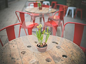 Lillies on a table in the street