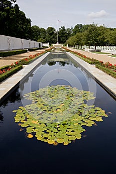 Lilly pond at American war cemetary