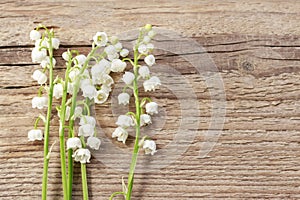 Lilly of the valley flowers on wood