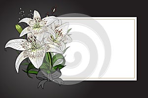 Lily bouquet on black background vector template photo