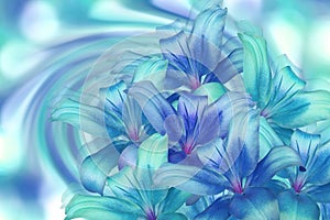 Lily bright blue-turquoise on turquoise background. floral collage. flower composition. For design.