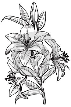 Lily flower branch engraving