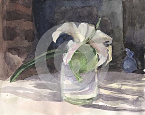 Lily flower in a glass. Watercolor