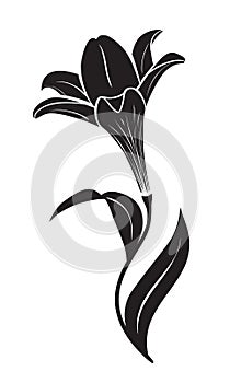 Lily flower vector icon photo