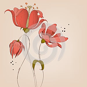 Lily flowers background
