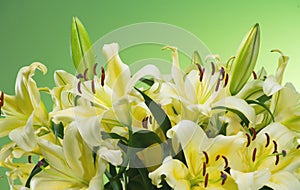 Lily flowers bouquet. Beautiful lillies, big bunch over green background. Close up