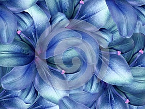 Lily flowers. bright blue background. floral collage. flower composition.