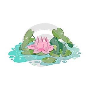 Frog sitting on a leaf in pond. Beautiful pink water lily amongst leaves.