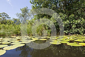 Lily in Guatemala