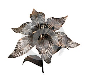 Lily handmade forged from metal