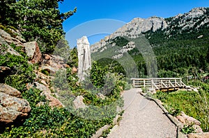 Lily Lake Rocky Mountain National Park Colorado Trail