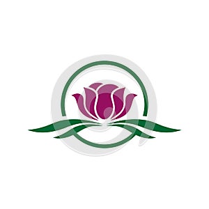 Lily or Lotus Flower Nature Logo Template Illustration Design. Vector EPS 10