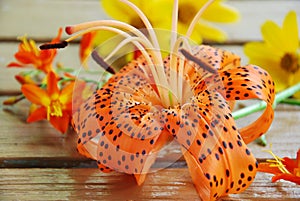 Lily and orange flowers