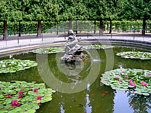 Lily Pond in Schonnbrun Palace in Vienna