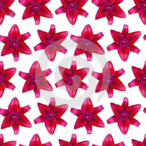 Lily Red pattern seamless. Beautiful flower background