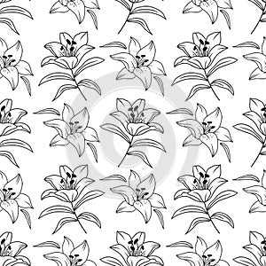 Lily seamless pattern, Elegant lilies drawn by a thin line. Floral pattern black and white. Vector illustration