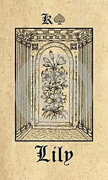 Lily. Tarot card from Lenormand Gothic Mysteries oracle deck