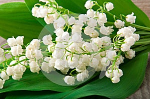 Lily-of-the-valley