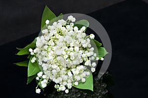 Lily of the valley photo