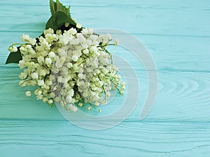 Lily of the valley beautiful on blue wooden rustic celebration decorative floral spring flowers greetings