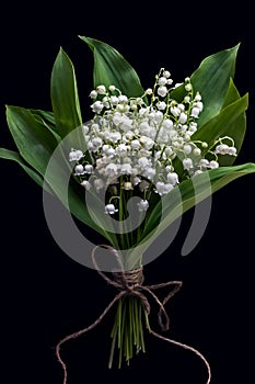 Lily of the valley flower bouquet on black background