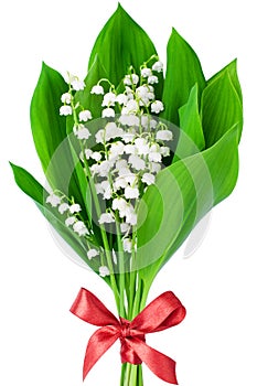 Lily of the valley flower bouquet with red bowknot white background isolated close up, beautiful may lilies bunch, green leaves