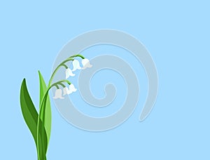 Lily of the valley flower cute drawing flat style