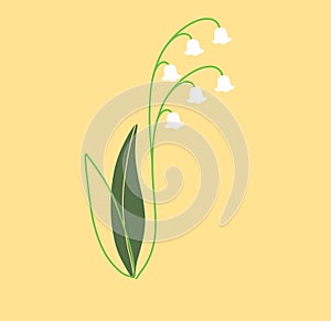 Lily of the valley flower illustration on white background
