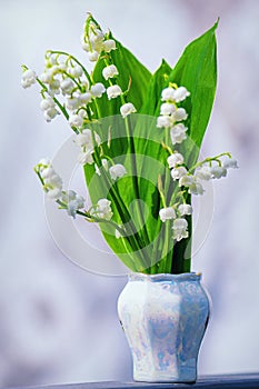 Lily of the valley. Flower Spring Lilies of the Valley Background Vertical Closeup Macro.