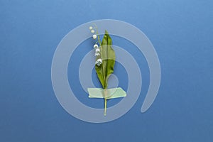 Lily of the valley flower with sticky tape isolated on flat lay blue background. Minimal spring wedding or birthday gift card.