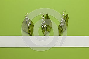 Lily of the valley flower with sticky tape isolated on flat lay green background. Minimal spring wedding or birthday gift card.