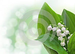Lily-of-the-valley flowers design