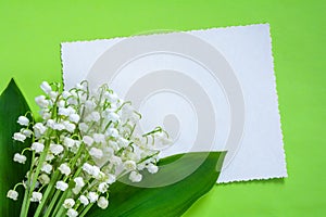 Lily of the valley flowers and greeting card on a light green background