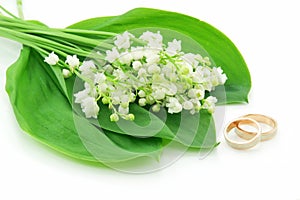 Lily of the Valley and Golden Rings Isolated