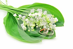 Lily of the Valley and Golden Rings Isolated