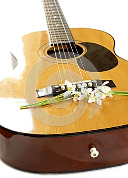 Lily of the valley on guitar strings