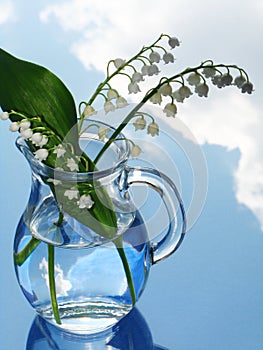 Lily of the valley in jug
