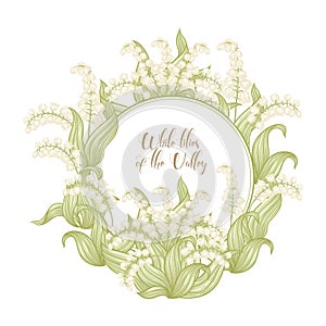 Lily of the valley, may-lily photo