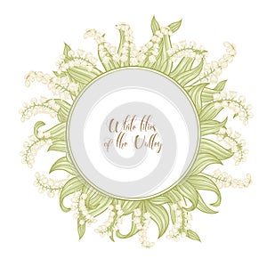Lily of the valley, may-lily photo