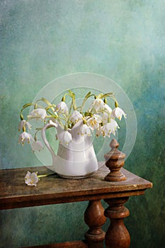 Lily of the Valley photo