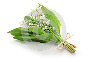 Lily of the valley posy