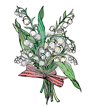 Lily of the valley - vintage engraved illustration of spring flo