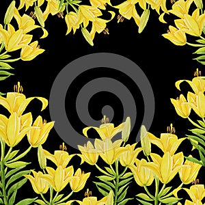 Lily yellow frame pattern isolate object background