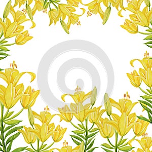 Lily yellow frame pattern isolate object background