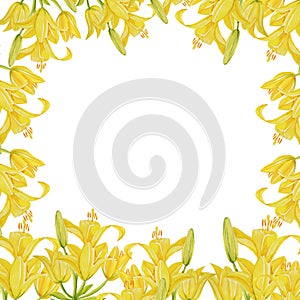 Lily yellow frame pattern isolate object background